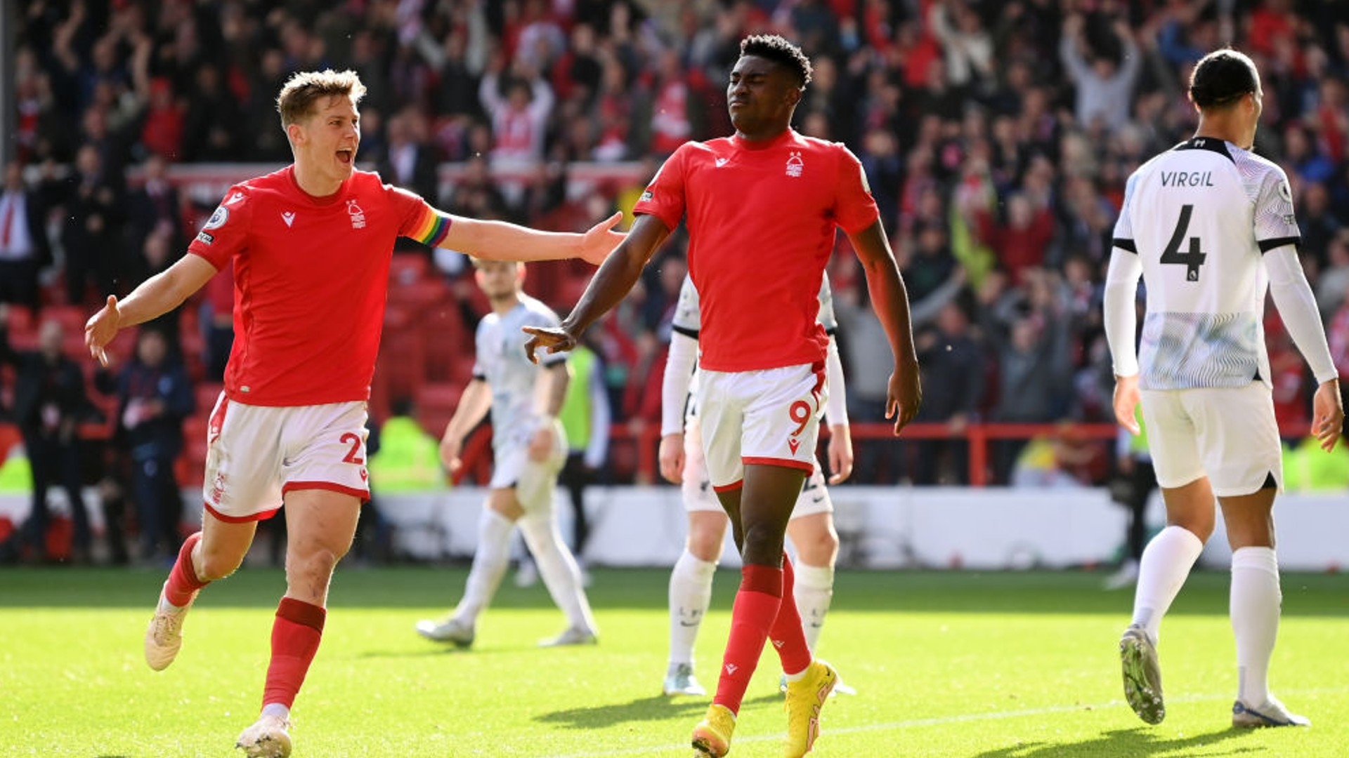 但皇家贝蒂 但皇家贝蒂